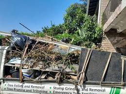 Best Shed Removal  in Aventura, FL